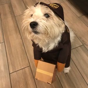 Meet your Posher, Leeanne